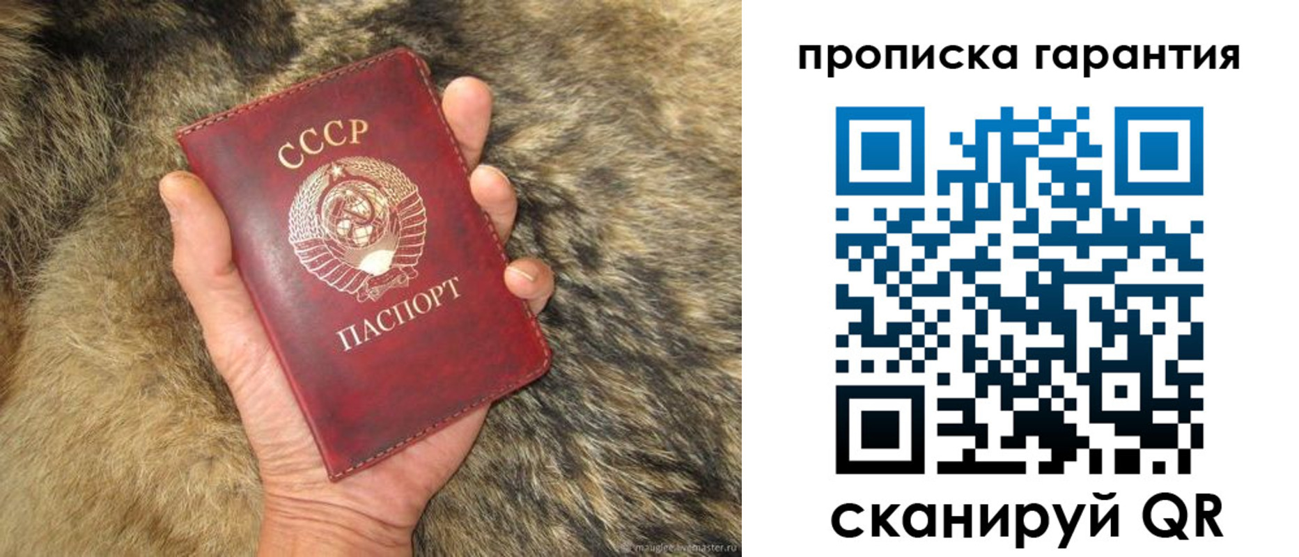 прописка паспорт в Калуге